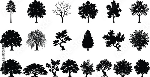 Tree and plant silhouette vector illustration, palm broadleaf conifer icons, tropical forest artwork, botanical outdoor design, landscape foliage scene - flat vector illustration