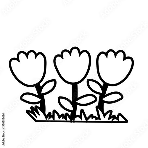 Three flowers coloring vector kids-friendly ready to print activity in high resolution illustration simple and bold, easy stroke line for kids activity print at home