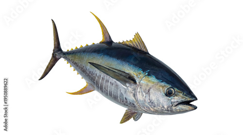 A magnificent 3D render of a vibrant yellowfin tuna fish, meticulously detailed for culinary, fishing.
