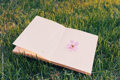 a pink cherry flower on open notebook lying on green grass