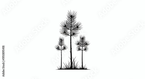 Black pine trees standing tall with grassy base on a white background illustration