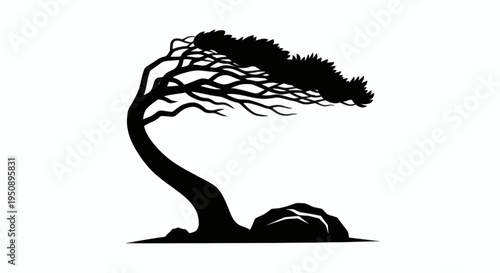 Artistic silhouette of a windswept bonsai tree on rocks, an elegant symbol of nature and resilience