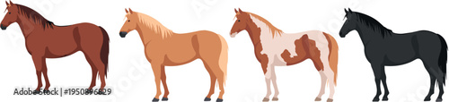 Horse collection in different coat colors isolated on light background, realistic farm animal illustrations showing standing equine figures for agriculture, ranch, wildlife design concept