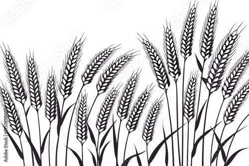A black and white illustration of several wheat stalks against white