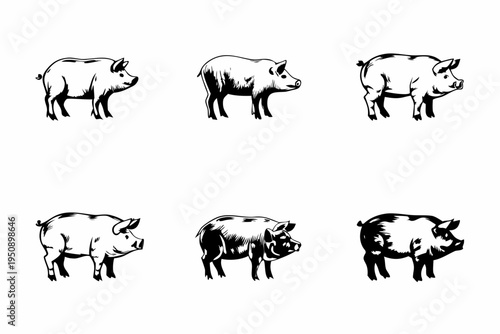 Six black and white illustrations of pigs in various poses