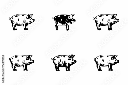 Six stylized black and white illustrations of spotted pigs standing