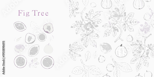 Stylized fig tree illustration with leaves and fruit sections displayed