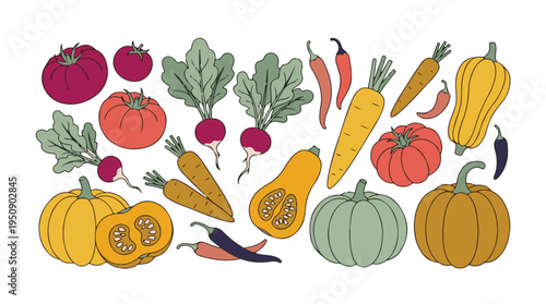 Autumn Harvest: Assorted Colorful Farm Vegetables Flat Vector Illustration