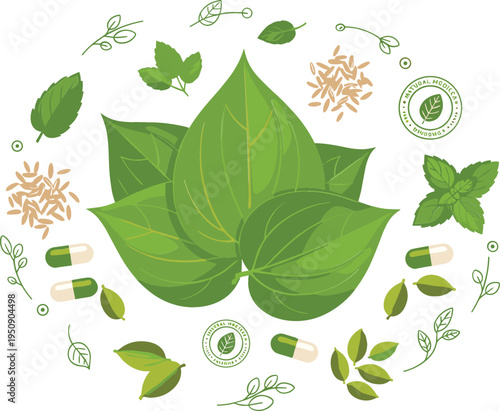 Green Herbal Leaves with Capsules, Seeds and Organic Natural Medicine Elements Botanical Healthcare and Alternative Medicine Vector Illustration