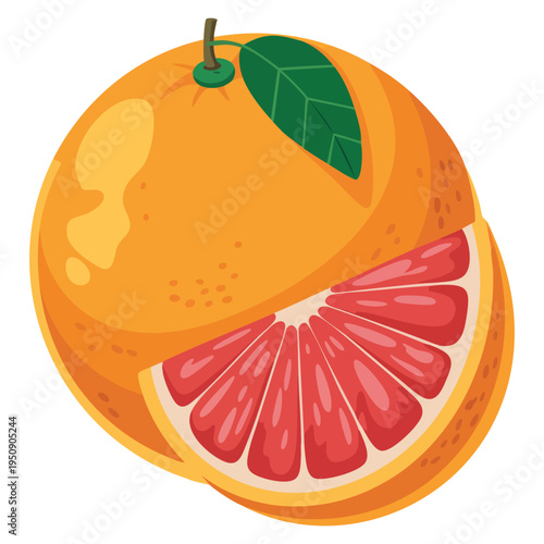 Grape fruit vector illustration perfect for fresh fruit design juice label sticker print and healthy nutrition themed artwork