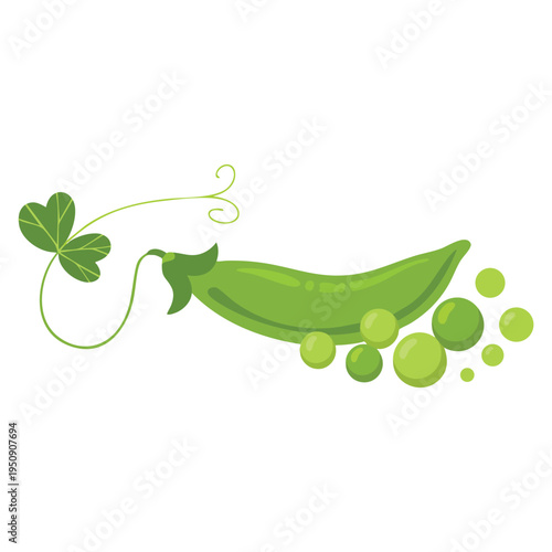 Natural green healthy eco product green pea pod vegetable icon for packaging and menu design vector illustration