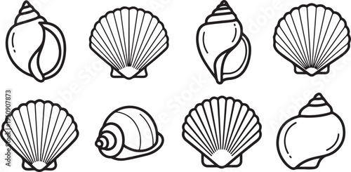 Assorted seashells and conch illustrations showcasing various shapes and patterns Vector