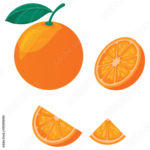 Orange fruit segmented oranges on white background in flat vector style fresh citrus design