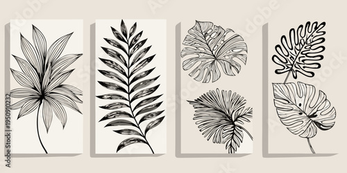 Botanical wall art featuring minimalist monstera and tropical leaf illustrations
