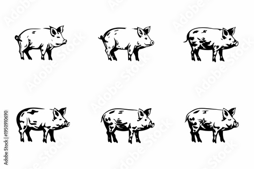 A collection of six black and white illustrations depicting various pigs