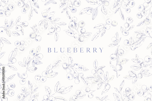 Delicate blueberry botanical illustration with sketched branches and berries