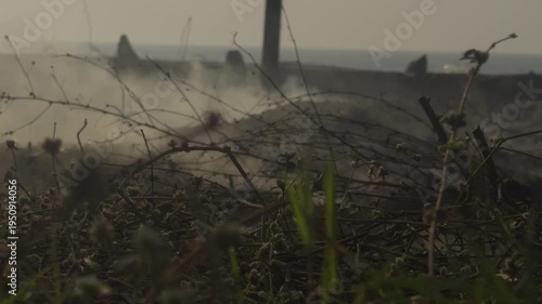 Smoke fire on the jungle