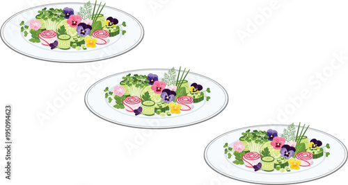 Gourmet edible flower salad with microgreens cucumber radish herbs and colorful blossoms healthy fine dining vector illustration