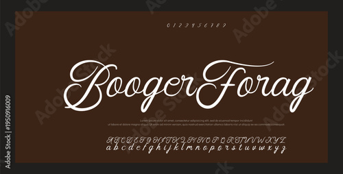
Lettering signature font isolated on grey background. brus style alphabet. Vector logo letters. 