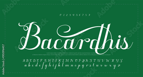 Script Brush Font Type Font lettering handwritten 