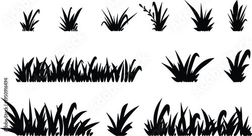 Grass silhouette set meadow plants lawn foliage nature vegetation vector illustration botanical ground cover elements collection design