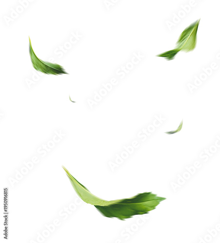 Green Leaves Flying Isolated Transparent Background Nature Breeze Concept