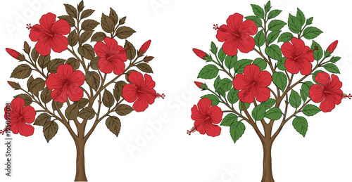 Hibiscus flower tree botanical illustration tropical plant red hibiscus blossoms vector illustration garden ornamental flowering plant design