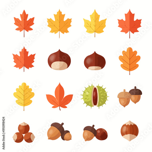 Autumn leaves and acorns illustration set.