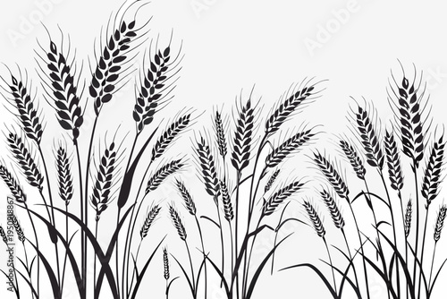 A detailed black and white illustration of wheat stalks and leaves