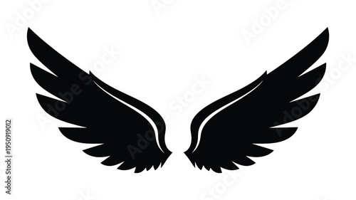 Symmetrical vector art illustration of angel wings featuring black feathers