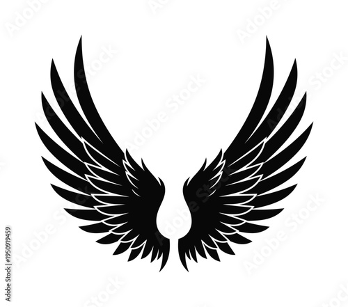 Vector of elegant angel wings spread wide against a white background