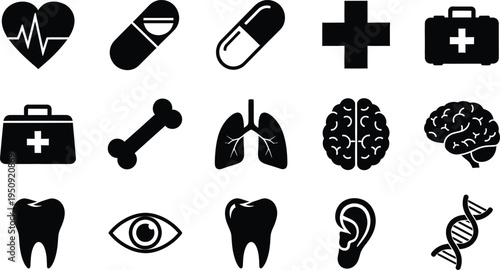 A collection of fifteen black and white medical and biological icons representing human anatomy
