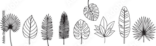 A collection of intricate and detailed line drawings of various leaves and plants Vector