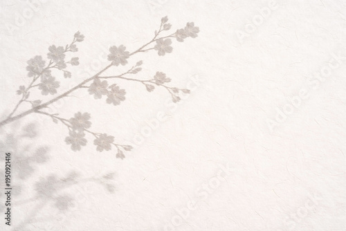 Cherry blossom branch shadow on washi paper with deep focus