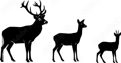 set of Graphic black silhouettes of wild deers – male, female and roe deer on white background