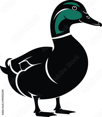 Wood duck bird silhouette with detailed feather pattern wildlife waterfowl animal vector illustration isolated nature design element