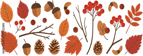 Autumn forest elements collection with colorful fall leaves acorns pine cones berries branches and seeds botanical vector set