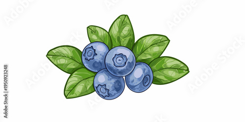 Watercolor illustration of a sprig with several ripe blueberries and leaves