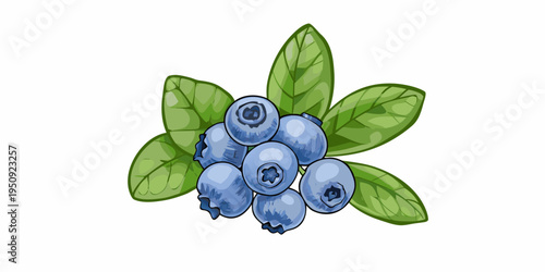 A cluster of ripe blueberries with vibrant green leaves illustrated