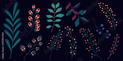 Stylized botanical illustration featuring various branches and colorful berries