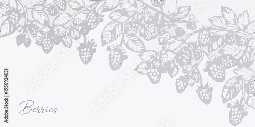 Delicate botanical illustration of blackberries and leaves on a white background