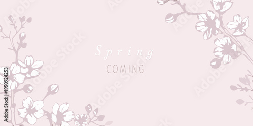 Delicate cherry blossom branches frame the word spring coming text