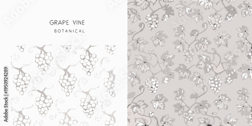 Elegant botanical illustration of grape vines and clusters of grapes