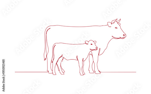 Cow and calf from the dairy farm, all in one. Domestic livestock, super cute farm animals.

