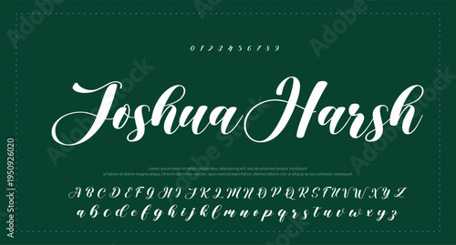 
Signature Font Calligraphy Logotype Script Brush Font Type Font lettering handwritten