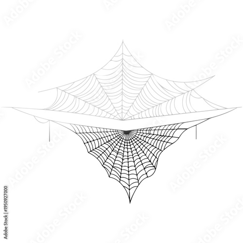 Realistic spider web vector illustration set isolated on transparent background. Creepy cobweb corner decoration for Halloween design, spooky gothic gothic aesthetic, hand-drawn net pattern graphic.