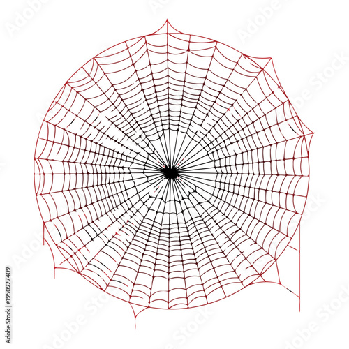 Realistic spider web vector illustration set isolated on transparent background. Creepy cobweb corner decoration for Halloween design, spooky gothic gothic aesthetic, hand-drawn net pattern graphic.