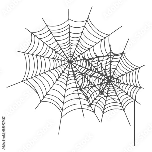 Realistic spider web vector illustration set isolated on transparent background. Creepy cobweb corner decoration for Halloween design, spooky gothic gothic aesthetic, hand-drawn net pattern graphic.