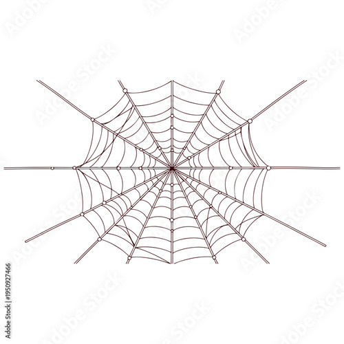 Realistic spider web vector illustration set isolated on transparent background. Creepy cobweb corner decoration for Halloween design, spooky gothic gothic aesthetic, hand-drawn net pattern graphic.