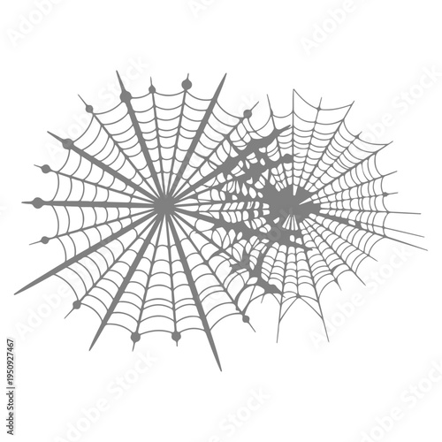 Realistic spider web vector illustration set isolated on transparent background. Creepy cobweb corner decoration for Halloween design, spooky gothic gothic aesthetic, hand-drawn net pattern graphic.